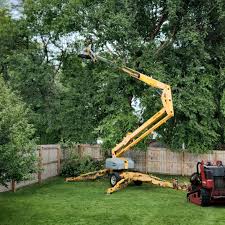 How Our Tree Care Process Works  in  Houghton Lake, MI